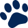 Buy Dog Online | Puppy For Sale Chip Price 1 Buy Dog Online