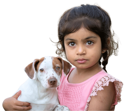 Buy Dog Online | Puppy For Sale Chip Price 81 Buy Dog Online
